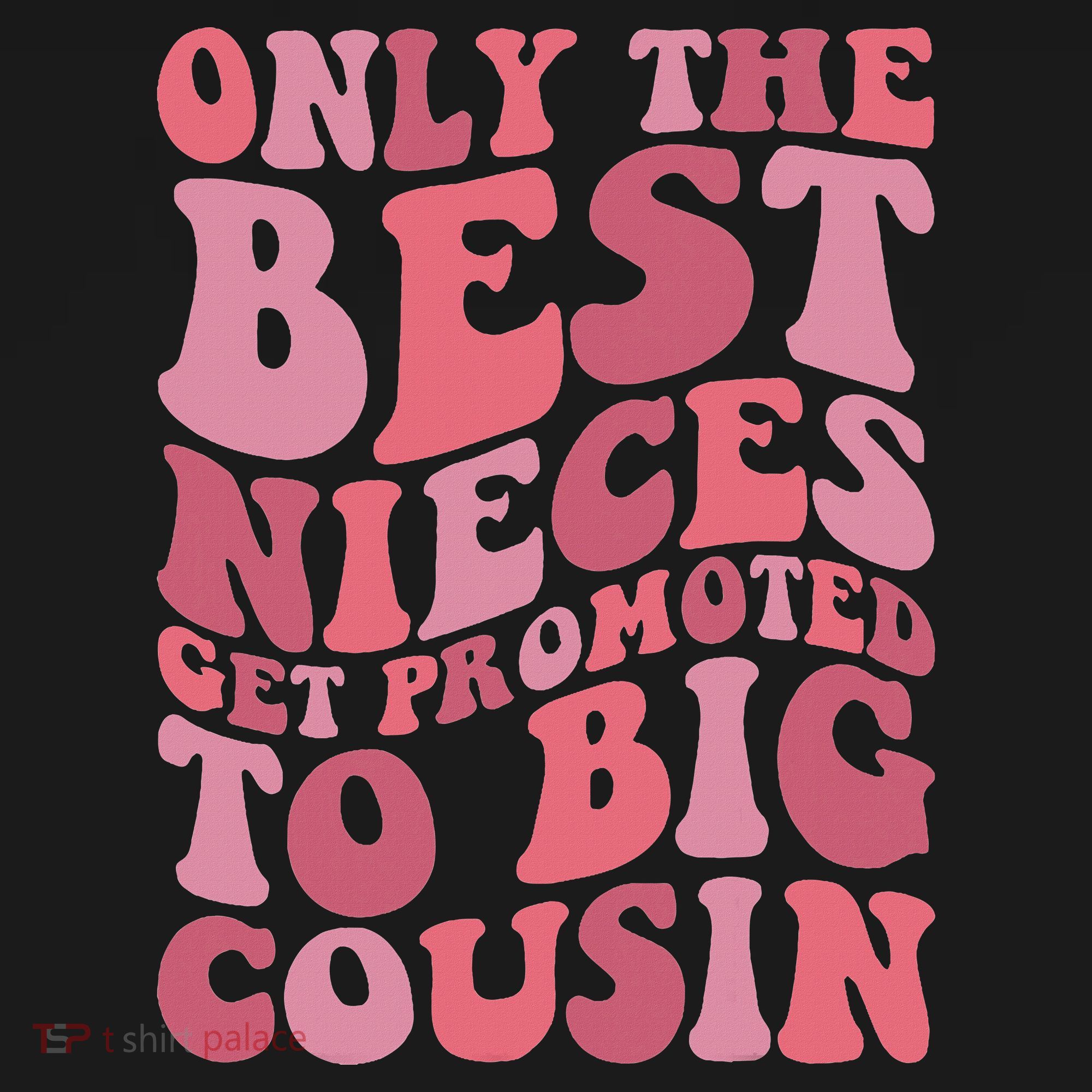 Only The Best Nieces Get Promoted To Big Cousin Cool Cousins Premium T-Shirt