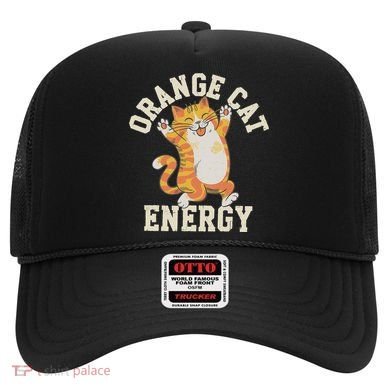 Orange Tabby Cat Orange Cat Energy Hat