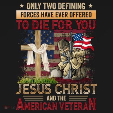 Only Two Defining Forces Have Ever Offered To Die For You Ornament