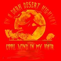 On The Dark Desert Highway Witch Riding Broom Night Hippies Cute Gift Santa Hat thumb 1