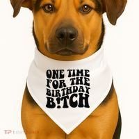 One Time For The Birthday Bitch USA-Made Doggie Bandana thumb 1