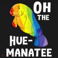 Oh The Hue Manatee Zookeeper Marine Biologist Zoologist Women's Hoodie thumb 2