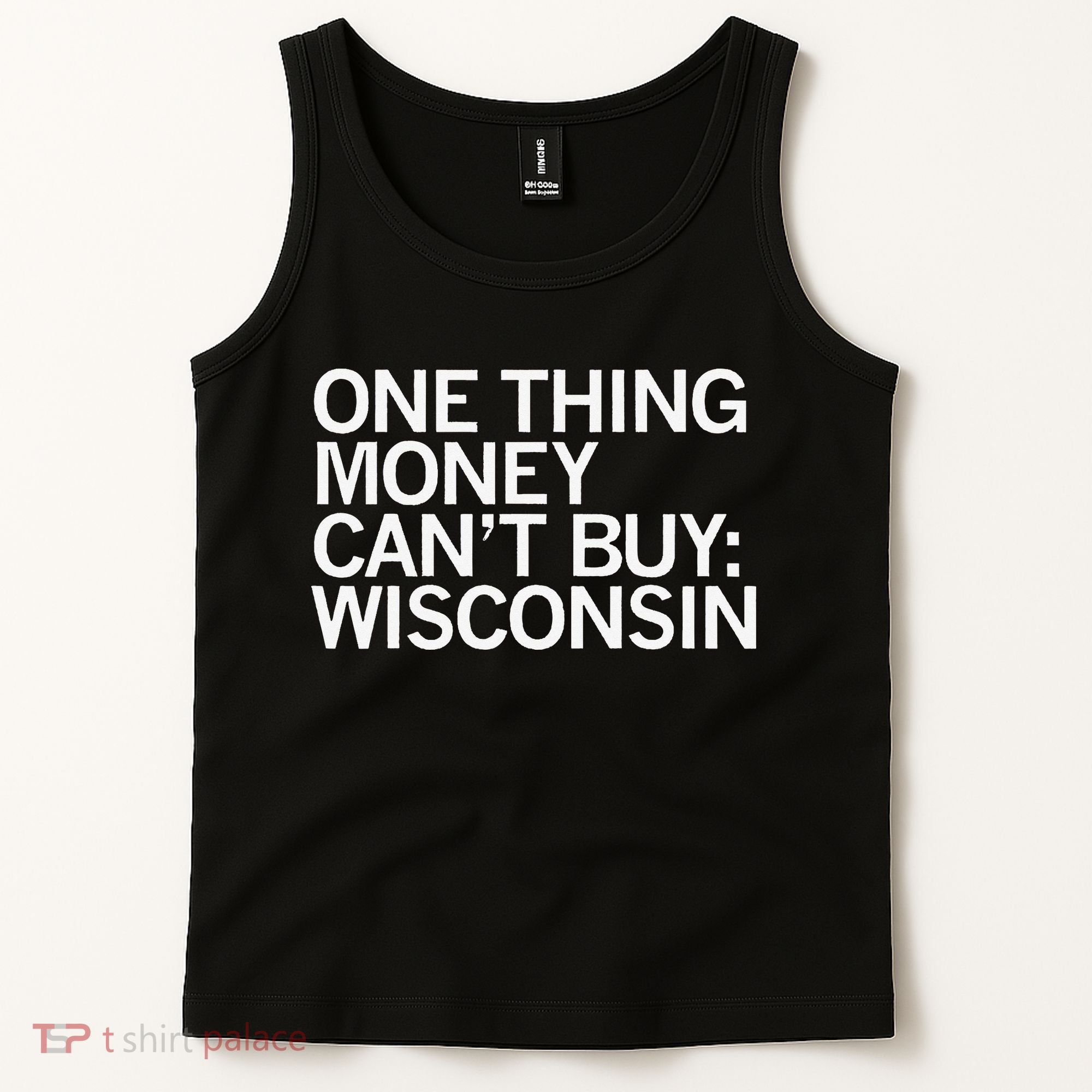 One Thing Money Cant Buy Wisconsin Tank Top