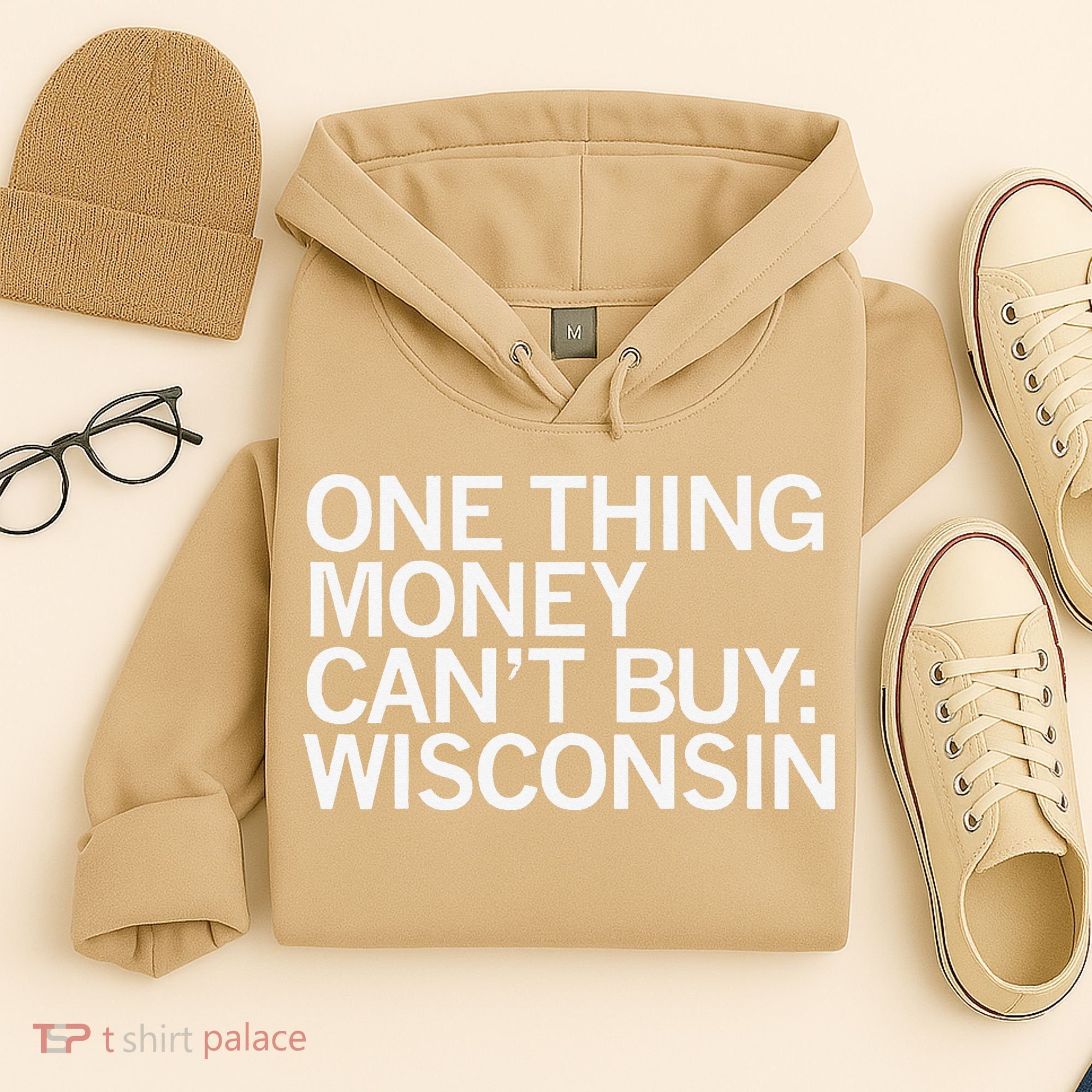One Thing Money Cant Buy Wisconsin Hoodie