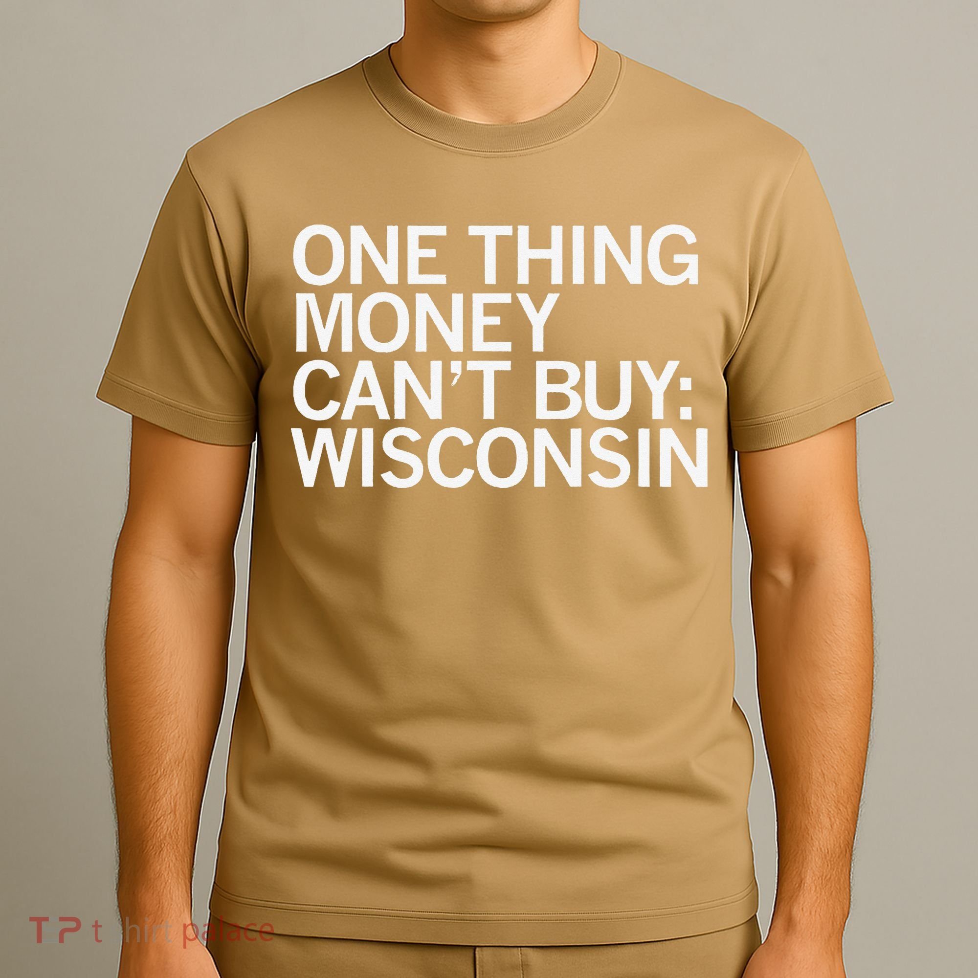 One Thing Money Cant Buy Wisconsin T-Shirt