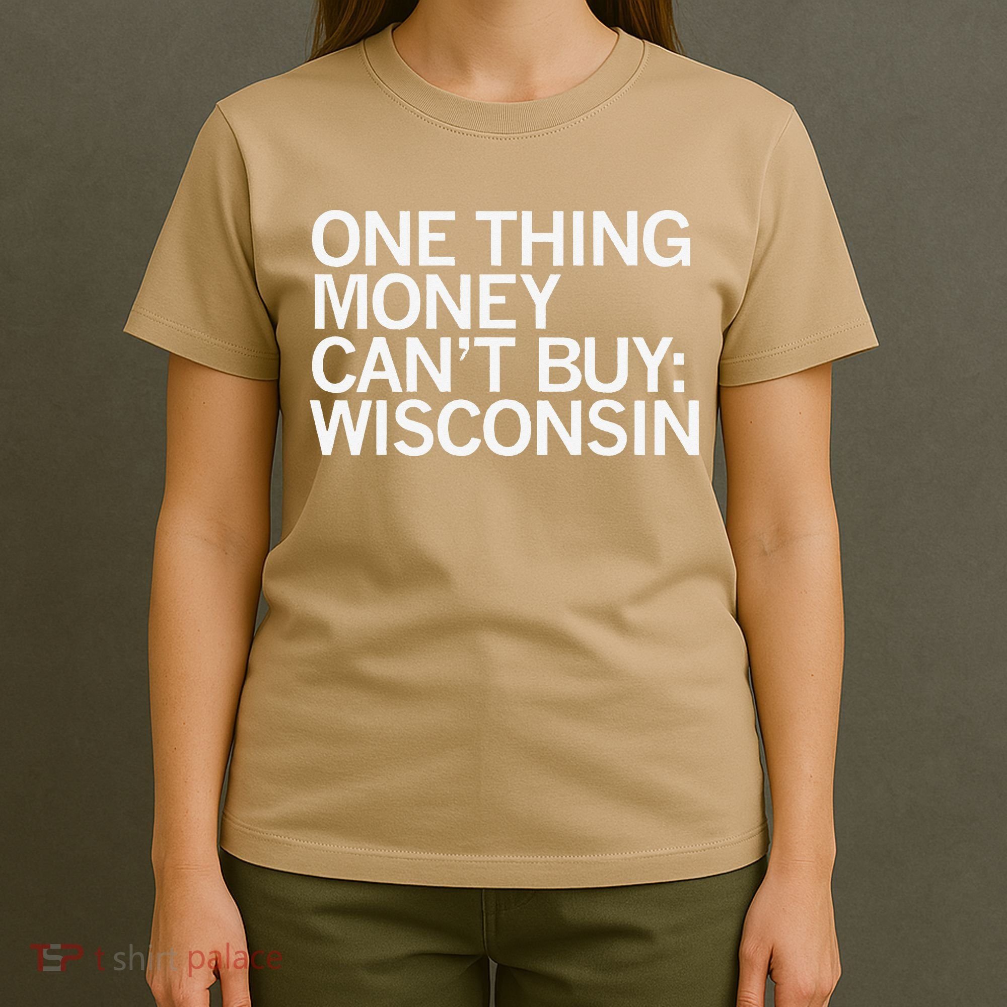 One Thing Money Cant Buy Wisconsin T-Shirt