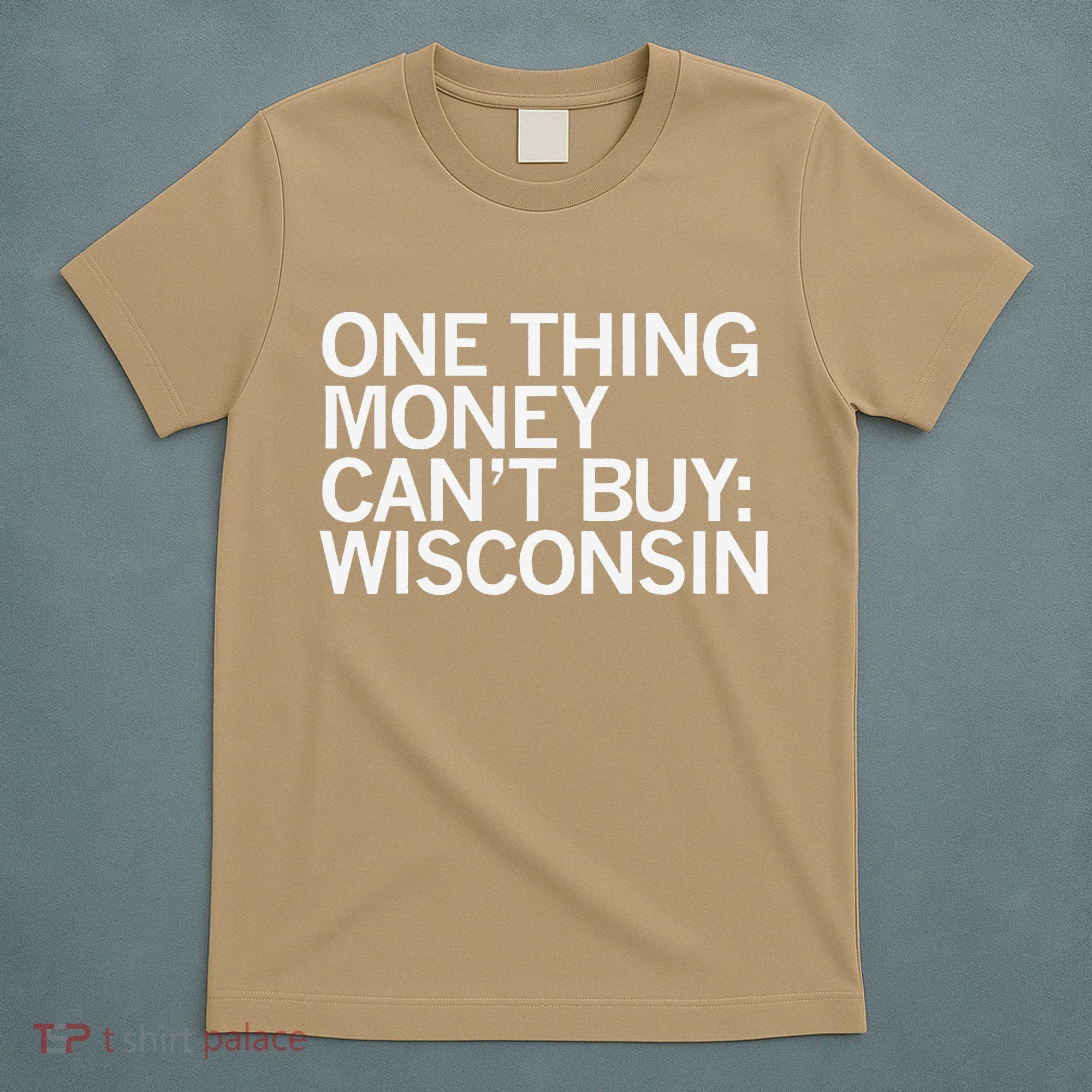 One Thing Money Cant Buy Wisconsin T-Shirt