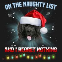 On The Naughty List And Newfoundland Dog Santa Hat Christmas Gift Women's Hoodie thumb 2