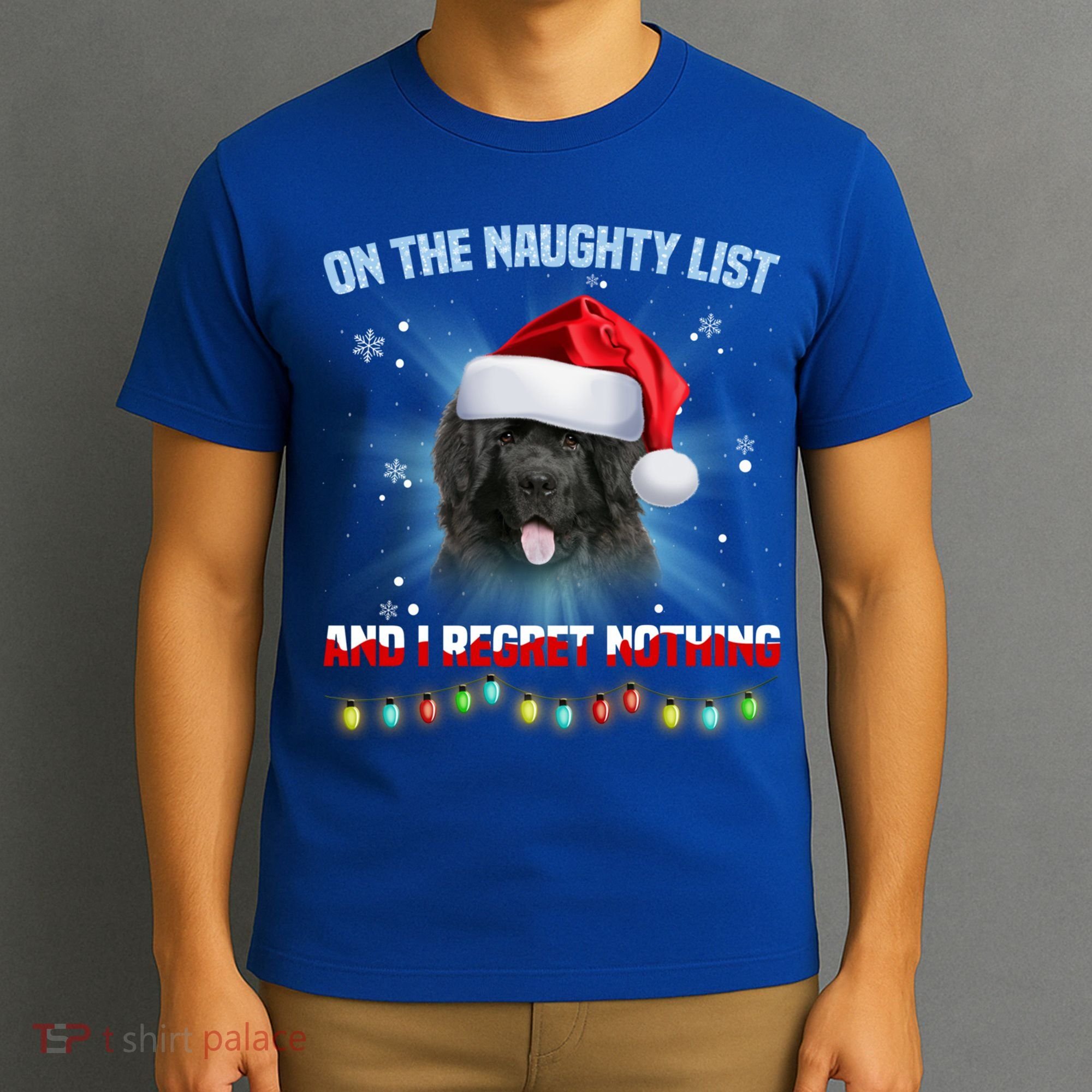On The Naughty List And Newfoundland Dog Santa Hat Christmas Gift T-Shirt