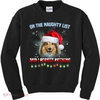 On The Naughty List And I Regret Nothing Sheltie Christmas Kids Sweatshirt thumb 0