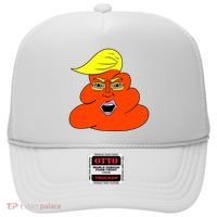 Orange Turd TrumpS Lawyer Called Him Hat thumb 0