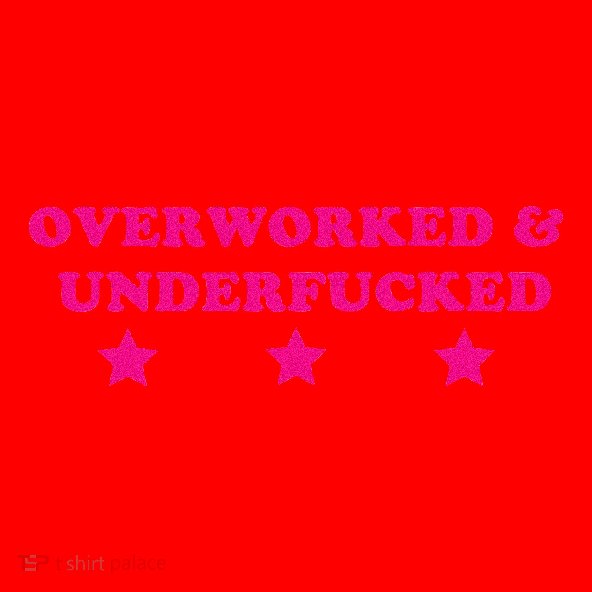 Overworked & Under Funny Meme Santa Hat