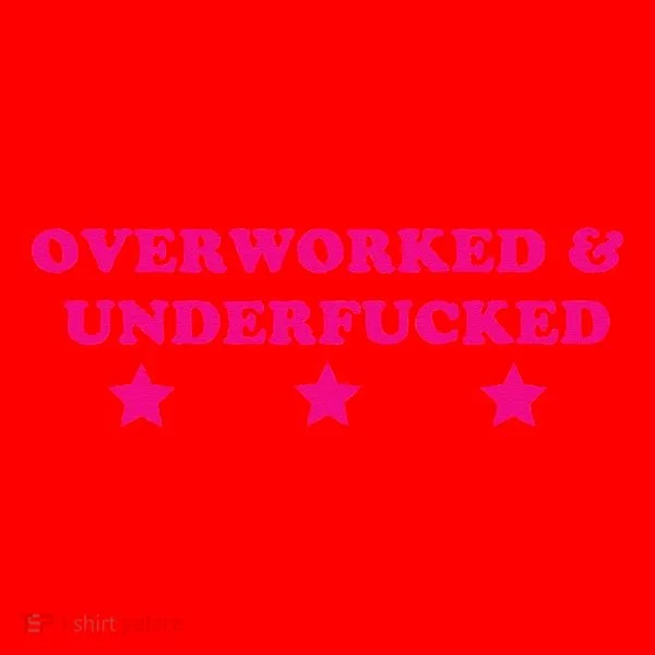 Overworked & Under Funny Meme Santa Hat
