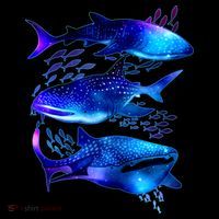 Outer Space Whale Sharks  Sweatshirt thumb 3