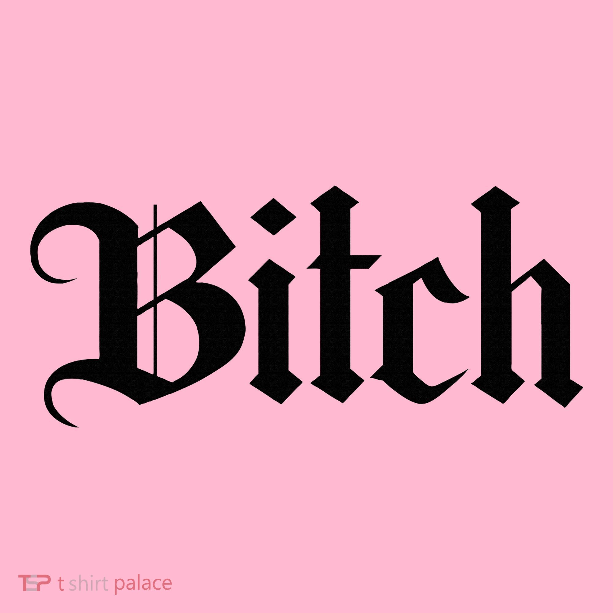 Offensive Vulgar Aesthetic Bitch Edgy E Girl E Boy Coaster