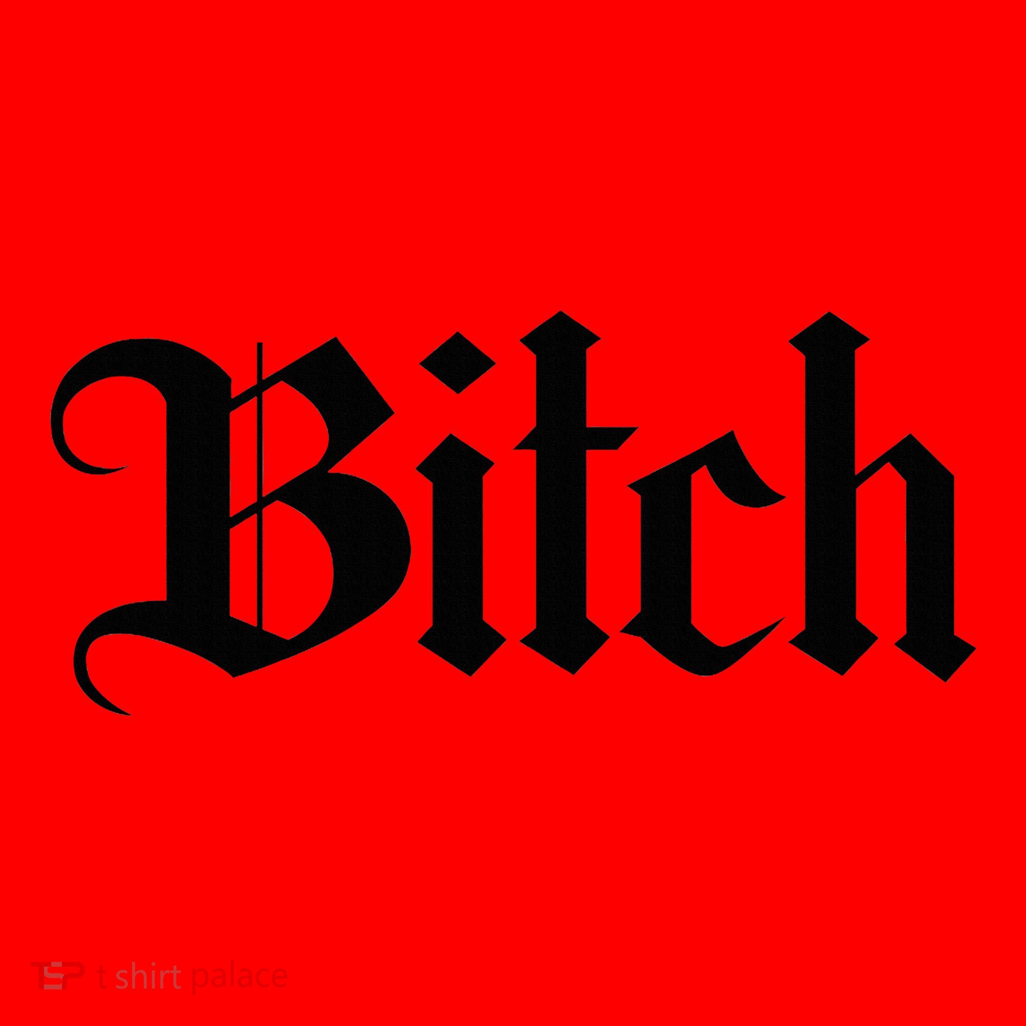 Offensive Vulgar Aesthetic Bitch Edgy E Girl E Boy Santa Hat