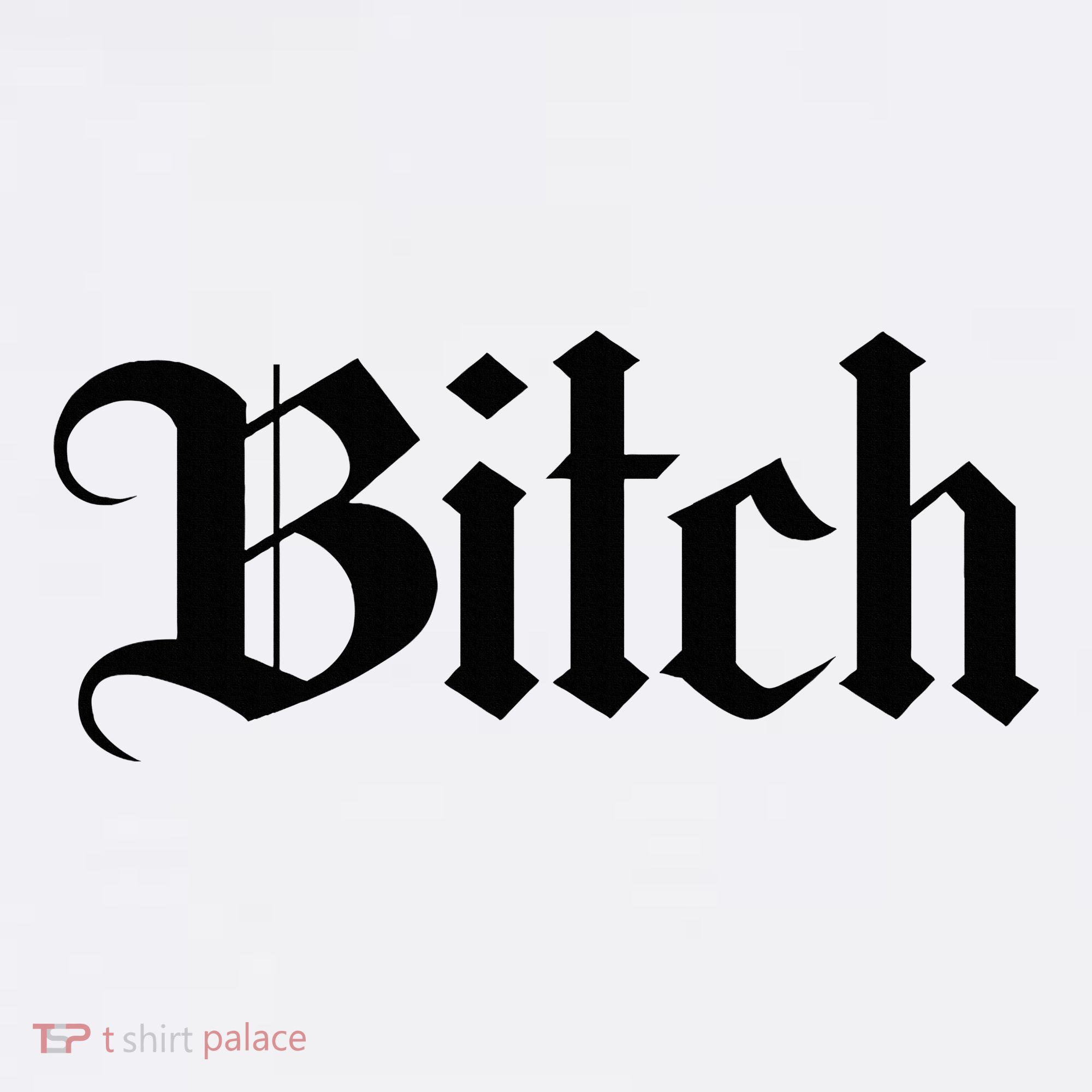 Offensive Vulgar Aesthetic Bitch Edgy E Girl E Boy T-Shirt