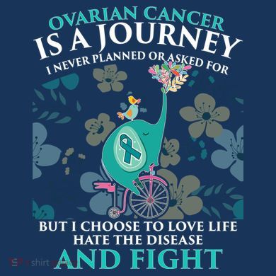 Ovarian Cancer Is A Journey Elephant Ladies Heavyweight Boxy Pullover Hoodie