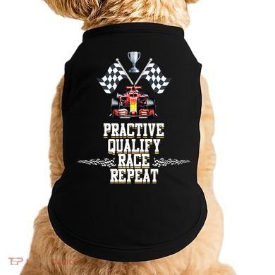 Open Wheel Formula Racing Car Practice Qualify Race Repeat Doggie Tank