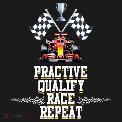 Open Wheel Formula Racing Car Practice Qualify Race Repeat Doggie Tank