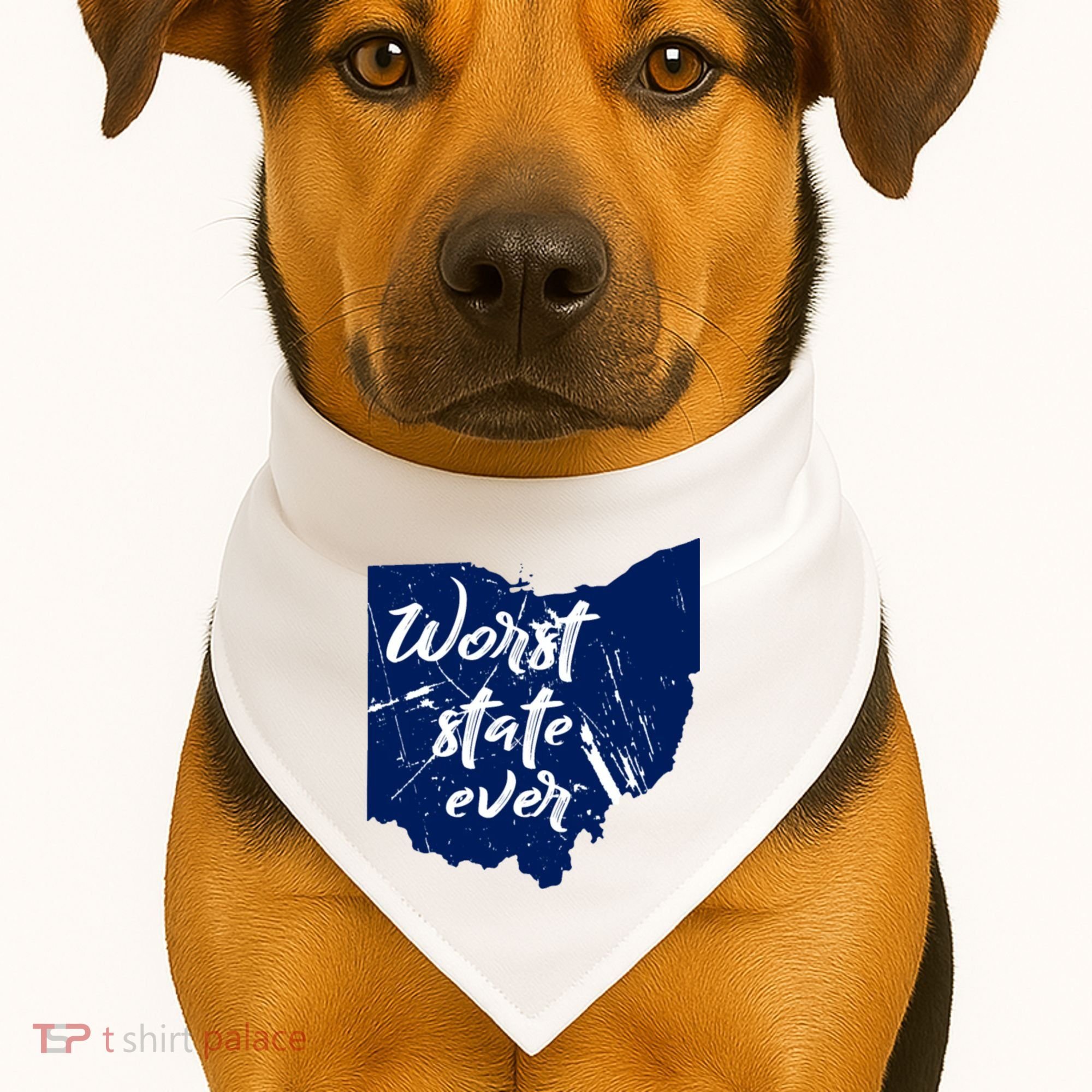 Ohio Worst State Ever Distressed USA-Made Doggie Bandana