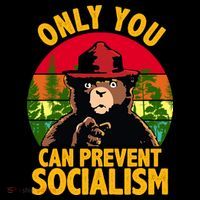 On You Can Prevent Socialism Bear Toddler Hoodie thumb 2