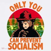 On You Can Prevent Socialism Bear Mousepad thumb 1