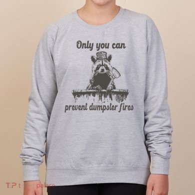 Only You Can Prevent Dumpster Fires Raccoon Meme Women's Sweatshirt