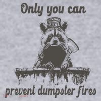 Only You Can Prevent Dumpster Fires Raccoon Meme Women's Sweatshirt thumb 2