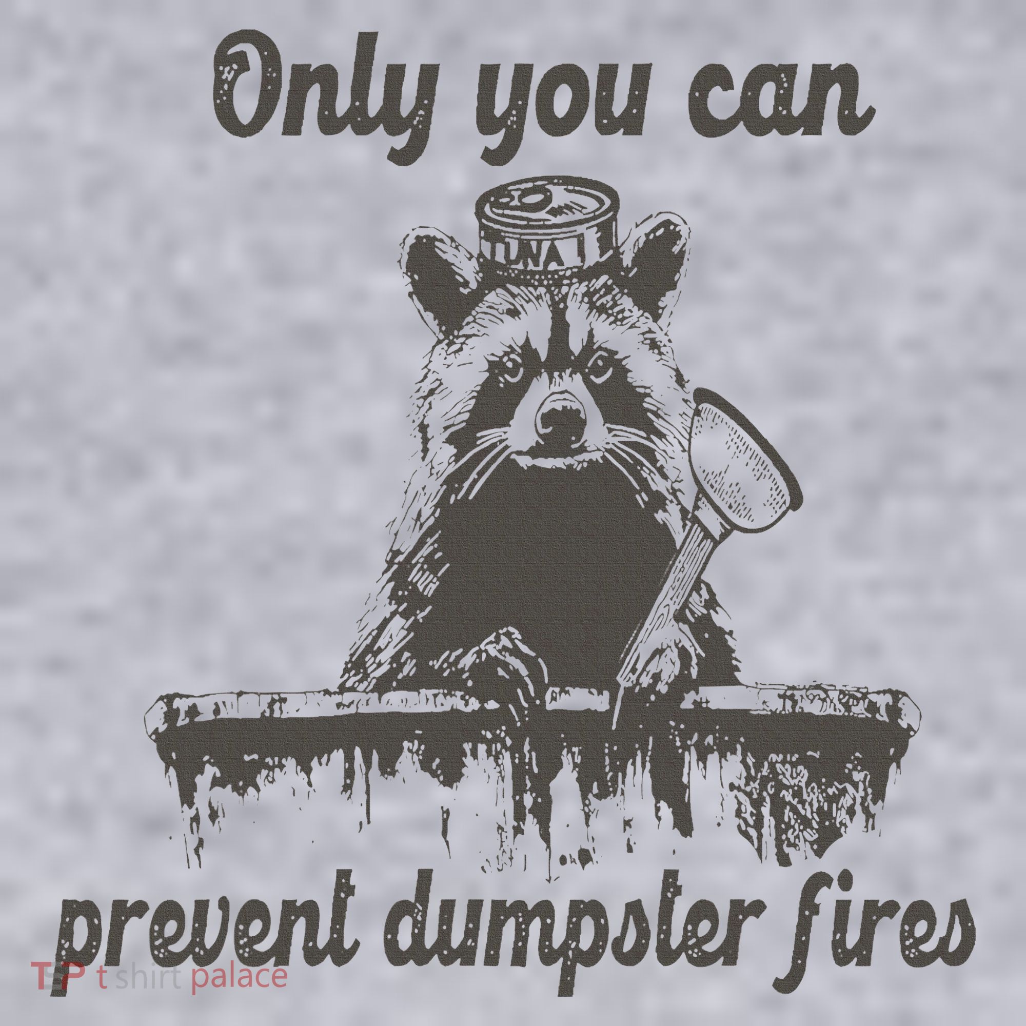 Only You Can Prevent Dumpster Fires Raccoon Meme Women's Sweatshirt