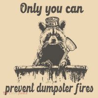 Only You Can Prevent Dumpster Fires Raccoon Meme Tote Bag thumb 4