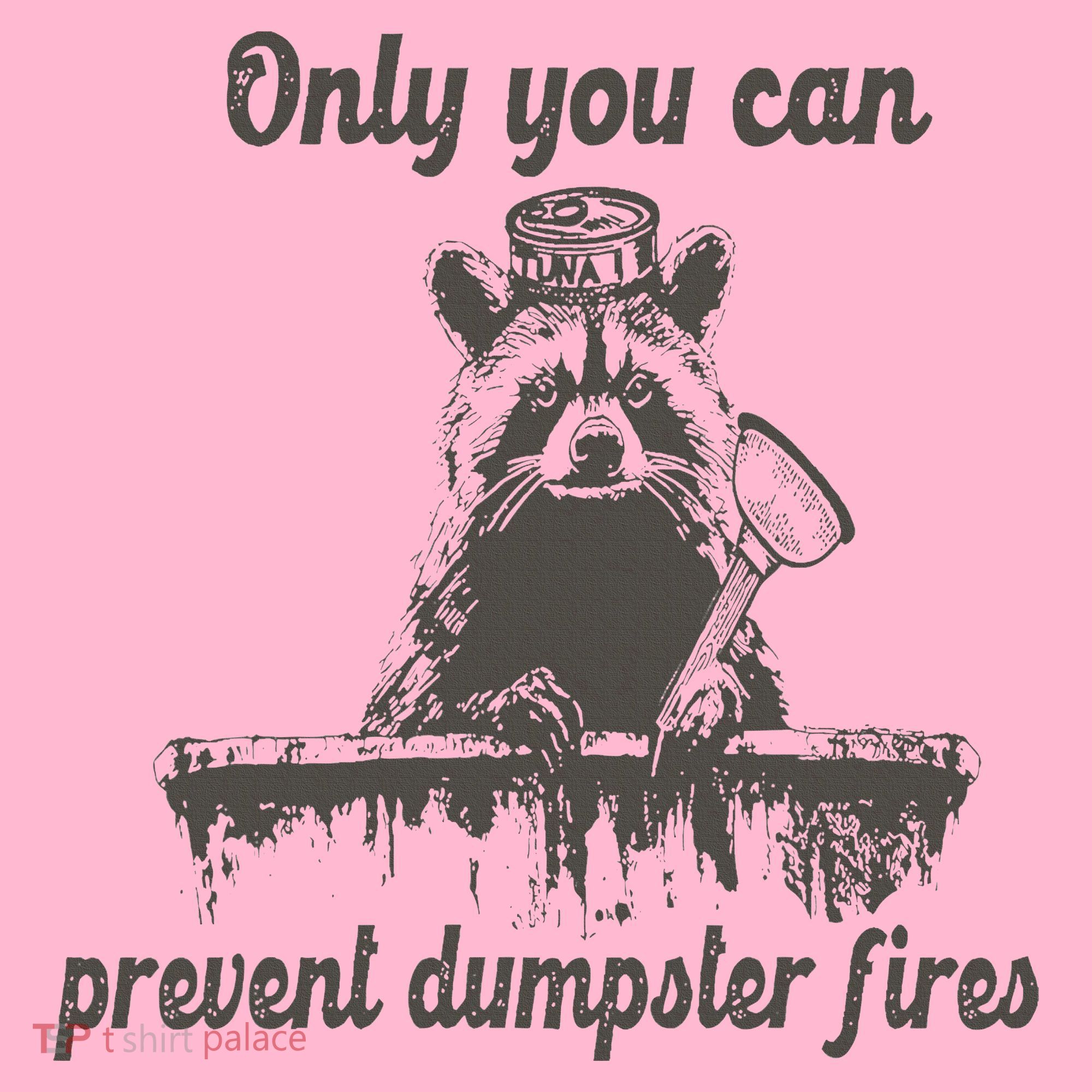 Only You Can Prevent Dumpster Fires Raccoon Meme Coaster