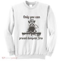 Only You Can Prevent Dumpster Fires Raccoon Meme Sweatshirt thumb 0