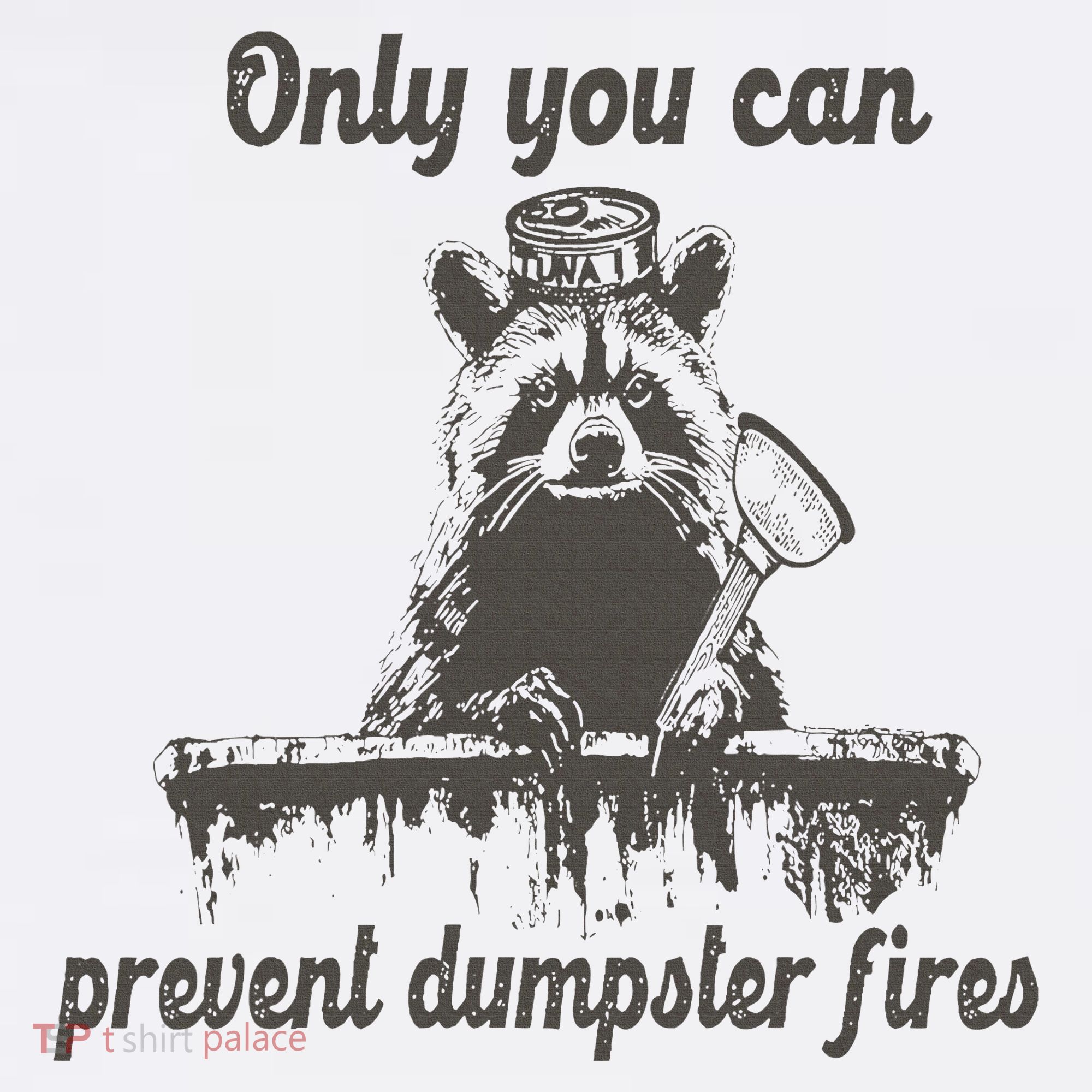 Only You Can Prevent Dumpster Fires Raccoon Meme Women's Tank Top