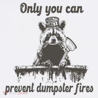 Only You Can Prevent Dumpster Fires Raccoon Meme Kids Sweatshirt thumb 2