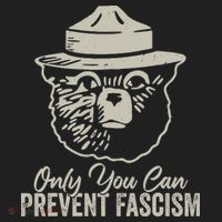 Only You Can Prevent Fascism Bear Resist National Parks Beanie thumb 2