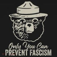 Only You Can Prevent Fascism Bear Resist National Parks Women's Hoodie thumb 2