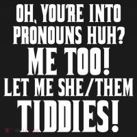 Oh Youre Into Pronouns Huh? Me Too Let Me She/Them Tiddies Women's Hoodie thumb 2