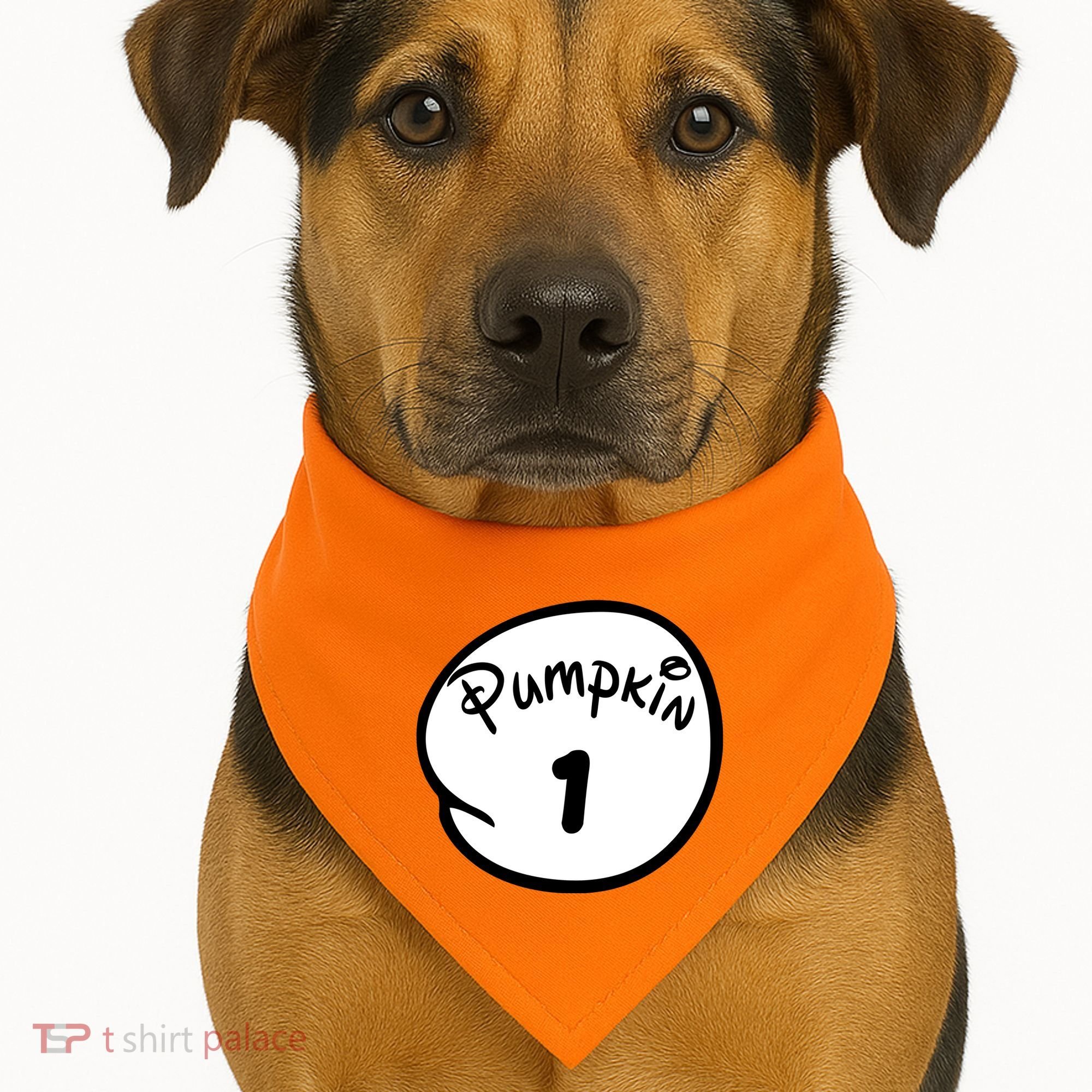 Pumpkin 1 2 3 4 5 Custom Personalize Halloween USA-Made Doggie Bandana