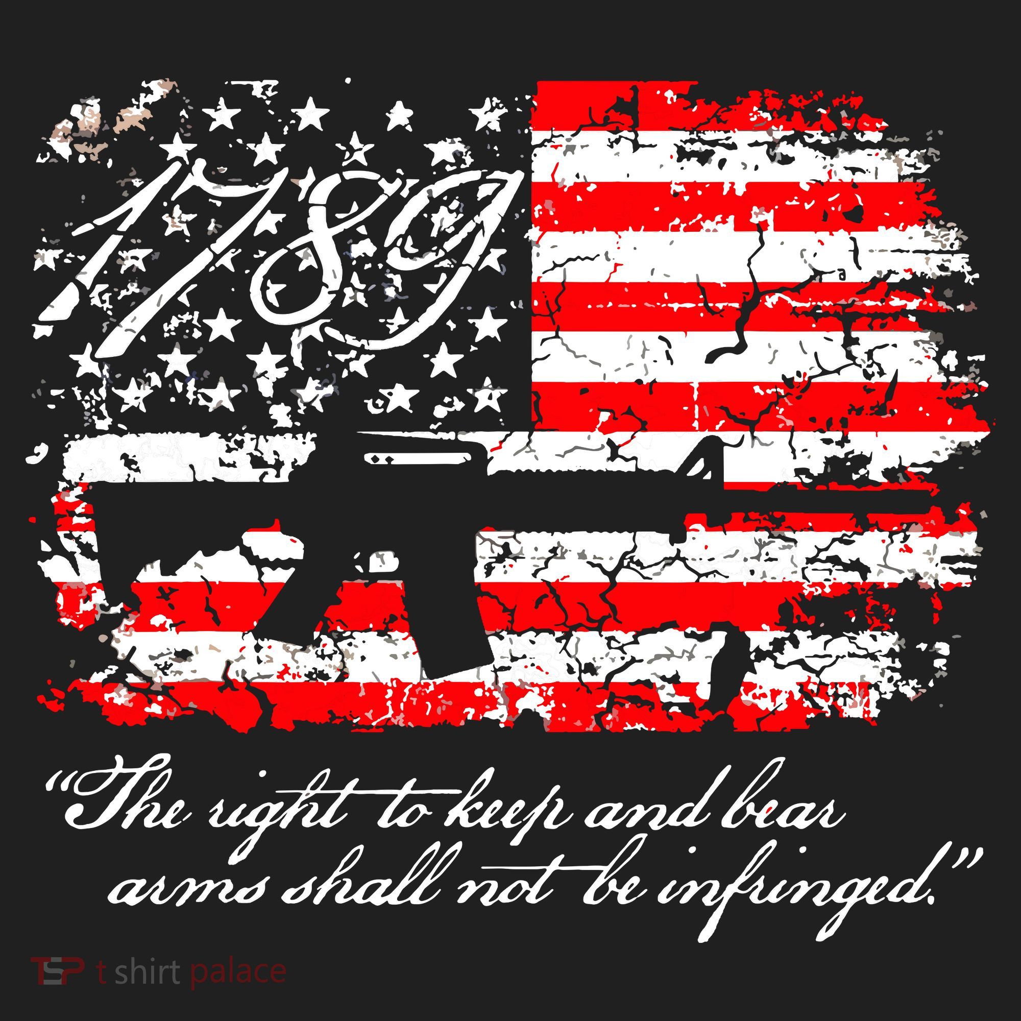 Patriotic 1789 American Flag 2nd Amendment Gun Rights AR15 Tumbler