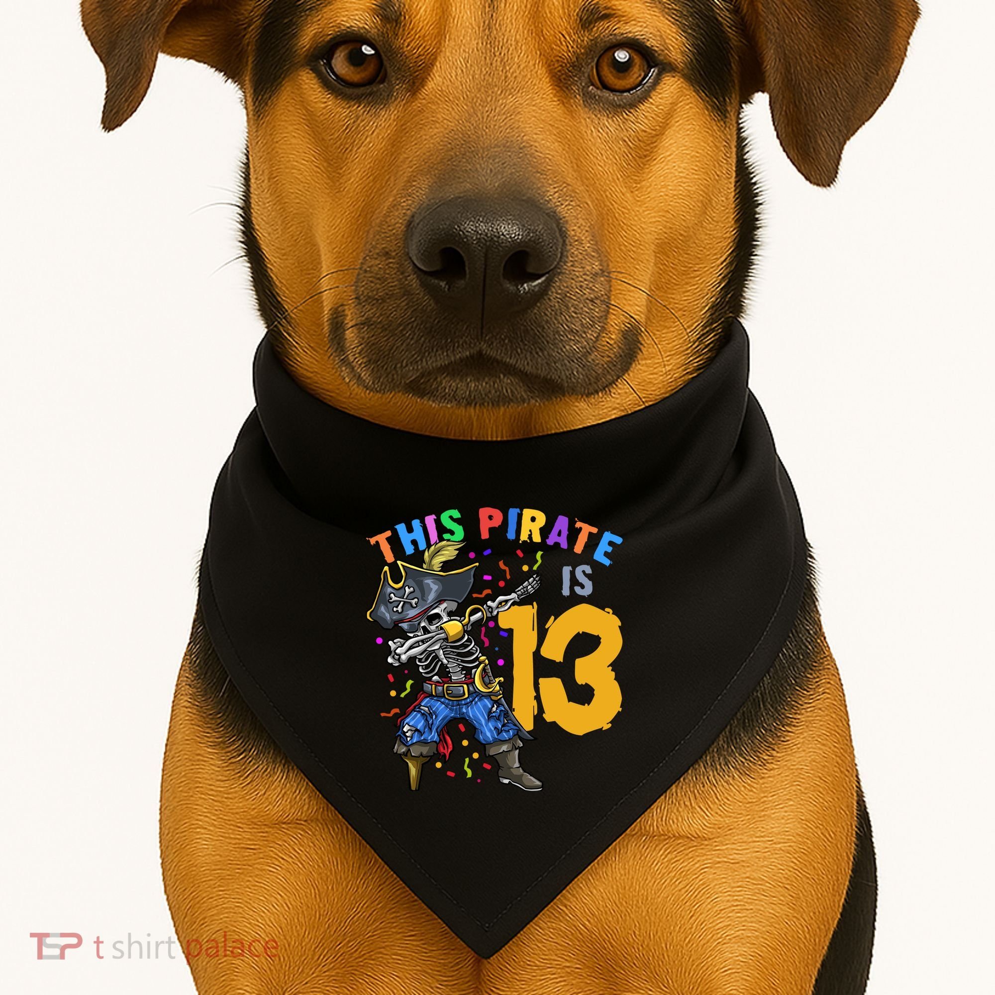 Pirate 13th Birthday USA-Made Doggie Bandana