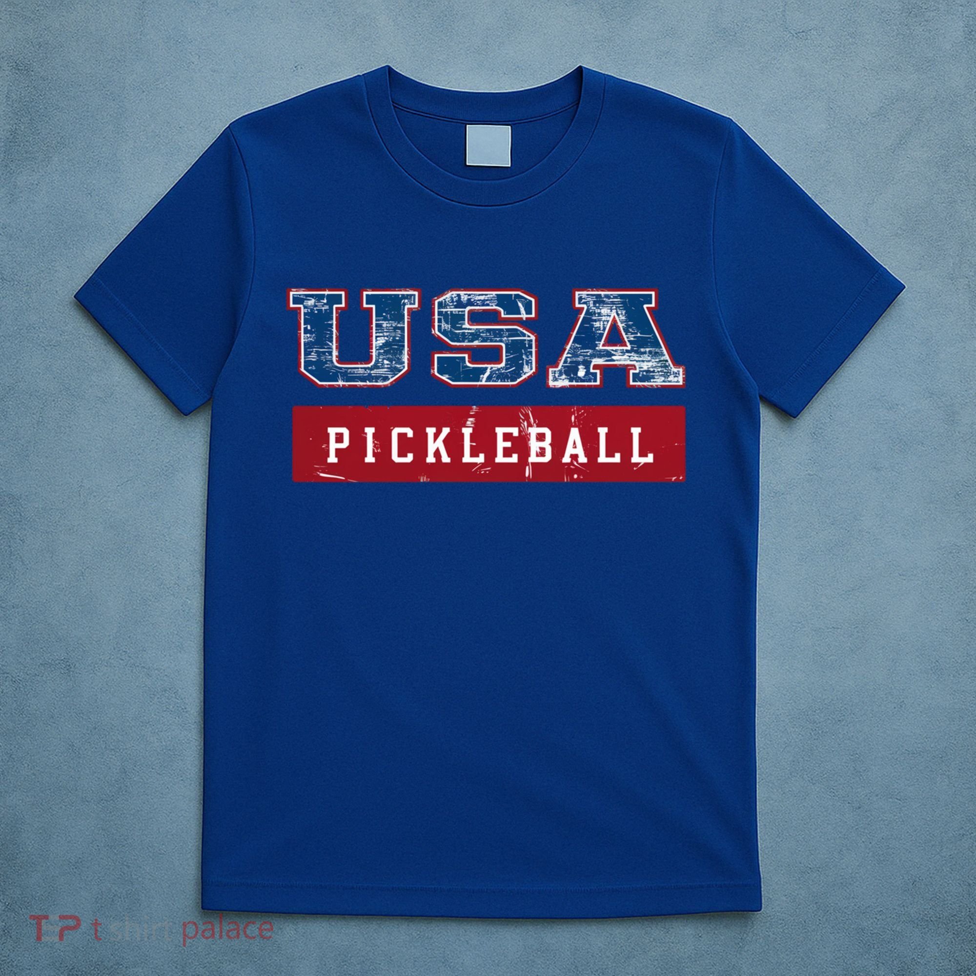 Pickleball 2024 Us Flag Patriotic American Sports Fan Usa Funny Gift T-Shirt
