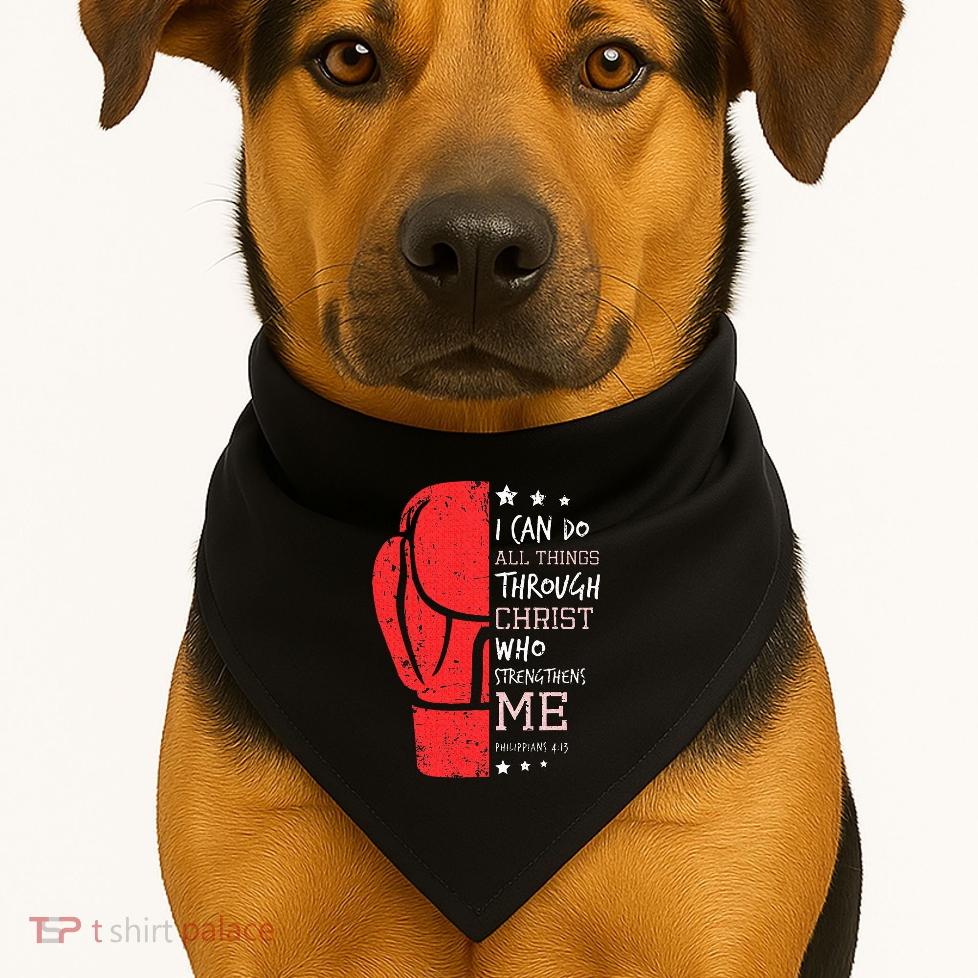 Philippians 4 13 I Can Do All Things Christian Boxing USA-Made Doggie Bandana