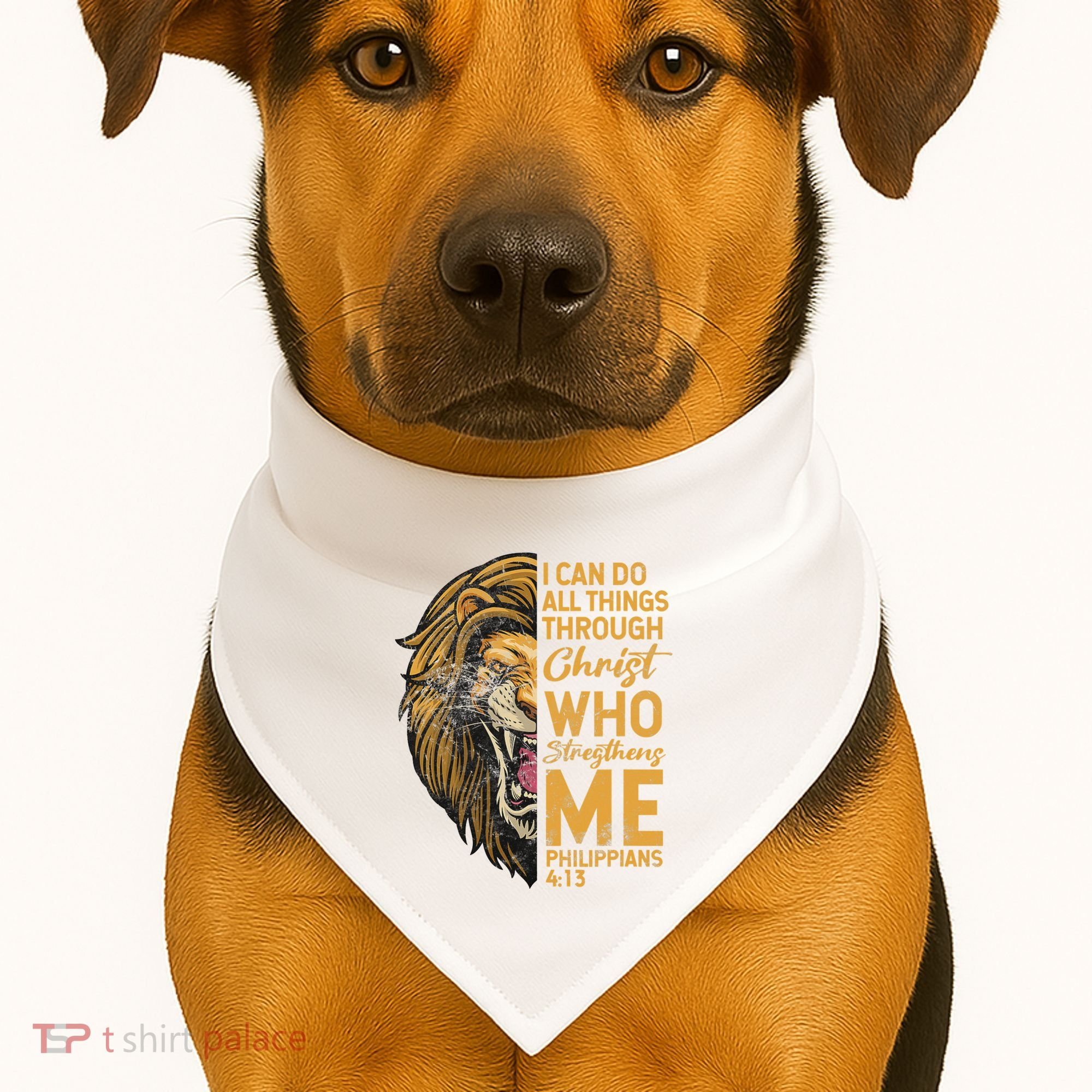 Philippians 413 Bible Quote Scriptures Christian USA-Made Doggie Bandana