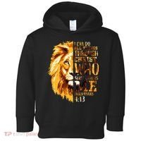 Philippians 413 Christian Bible Verse Gift Lion Husband Toddler Hoodie thumb 0
