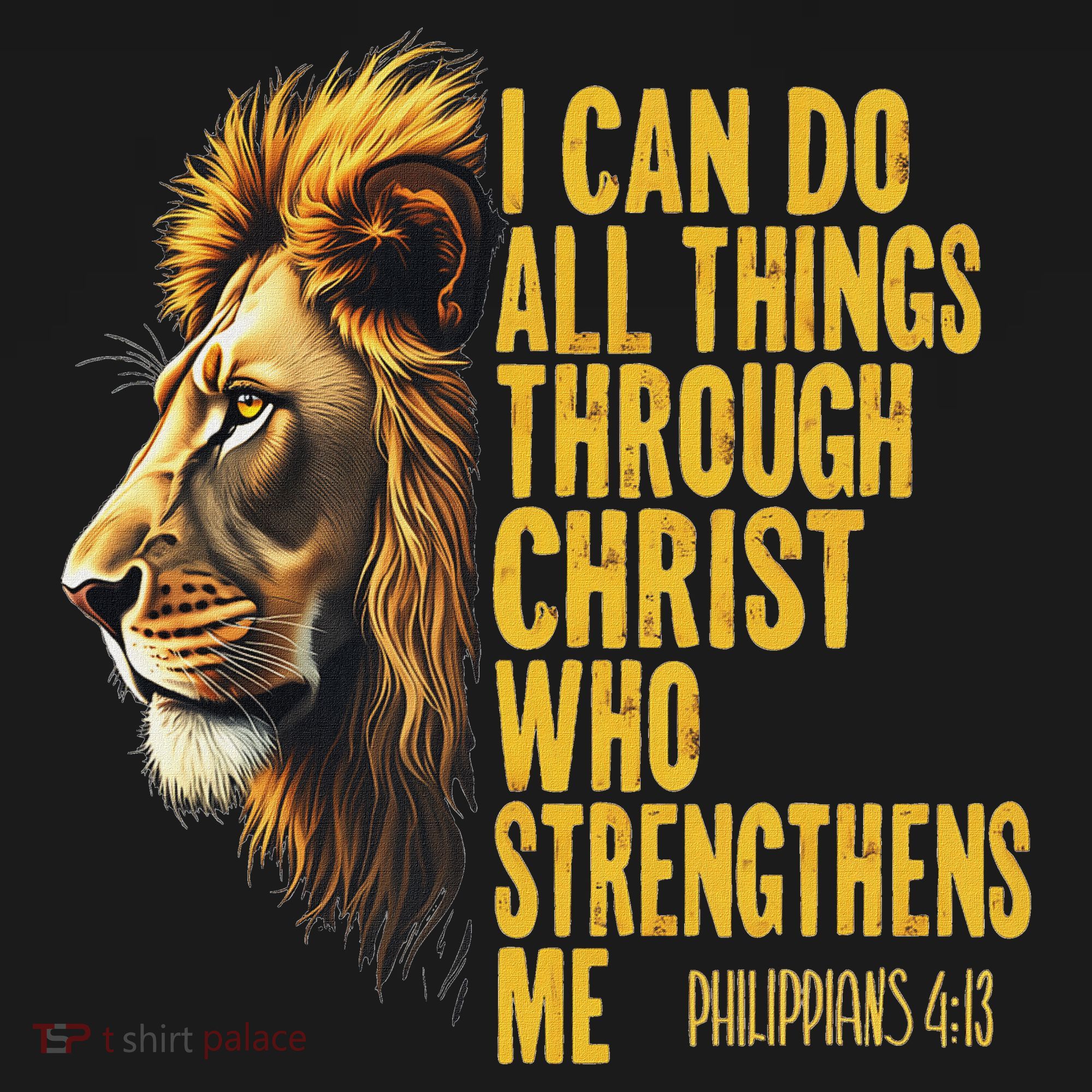 Philippians 413 Religious Lion Strengthens Christian  Women's Hoodie