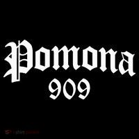 Pomona 909 Area Code Og Chicano Pride Mexican Tattoo Biker Doggie Tank thumb 4