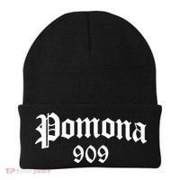 Pomona 909 Area Code Og Chicano Pride Mexican Tattoo Biker Beanie thumb 0