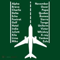 Pilot & Aviation Airplane Polo thumb 2