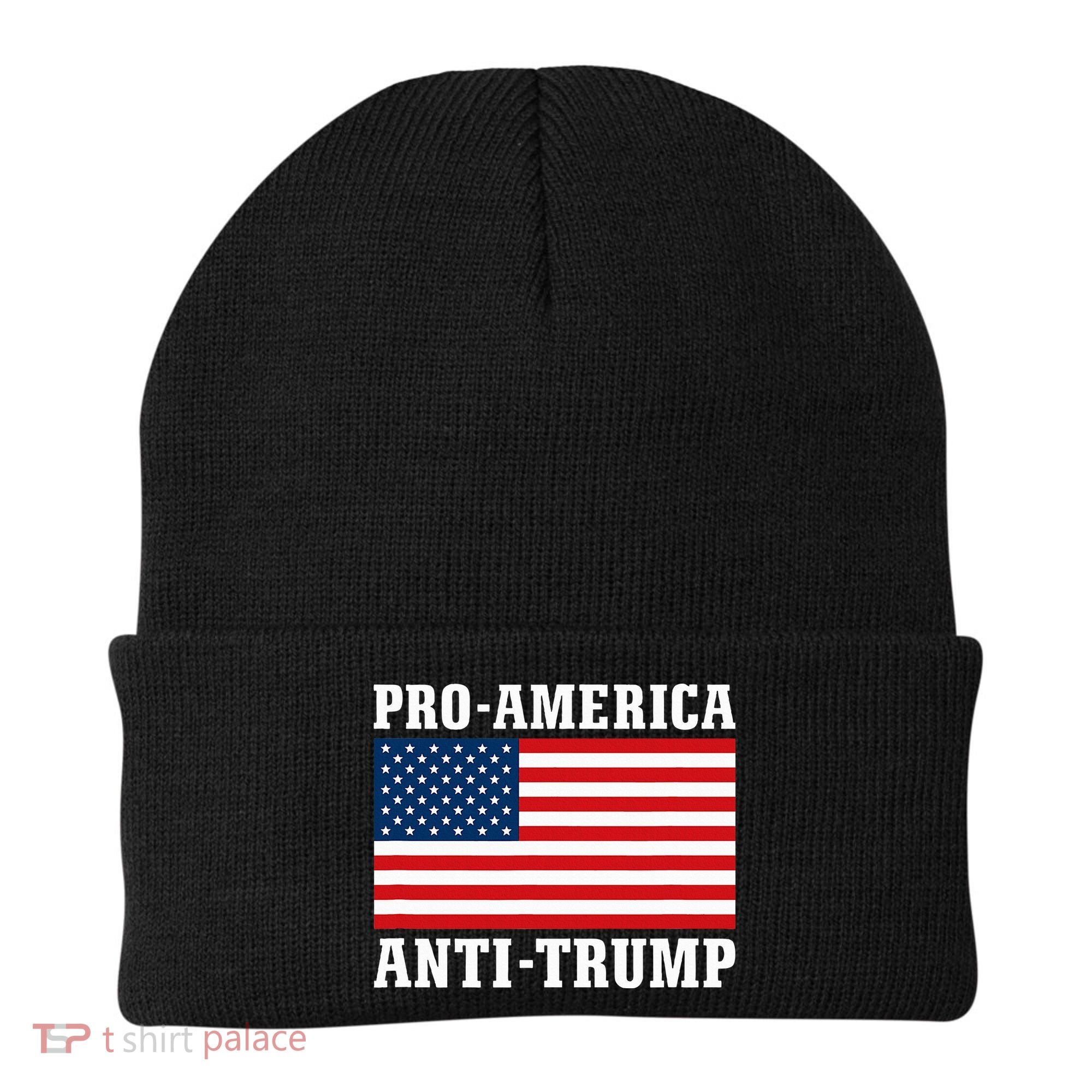 Pro America Anti Trump Beanie